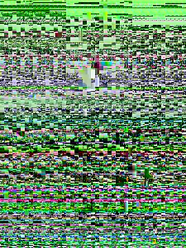 haiyan125216 online show from 9, 9, 2025