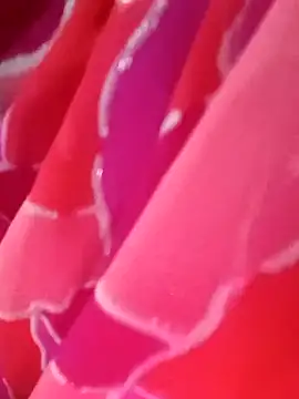 Snapshot of kittu0987 chatting on 9, 2, 2026 kittu0987 online show from 9, 2, 2026