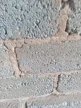 KingBonga online show from 17, 10, 2025