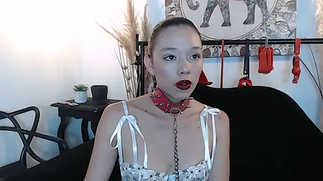 Doll4anall online show from 21, 2, 2026