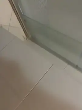 Mbidee online show from 8, 3, 2026