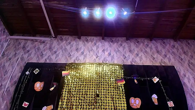 wensheng  online show from 17, 9, 2025