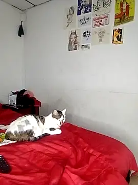 venusobryan 55 online show from 18, 9, 2025