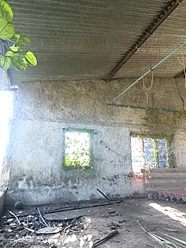 Snapshot of Sunny_cute_love chatting on 6, 10, 2025 Sunny cute love online show from 6, 10, 2025