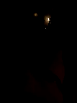 dutch girl lover online show from 5, 10, 2025