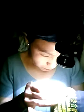 Snapshot of nasy_lady chatting on 12, 10, 2025 nasy lady online show from 12, 10, 2025