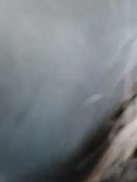 meomeocute online show from 11, 3, 2026