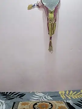 sneha bebo online show from 11, 4, 2026