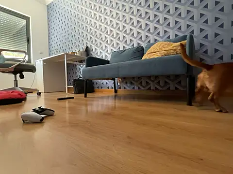 cumman789860 online show from 2, 10, 2025