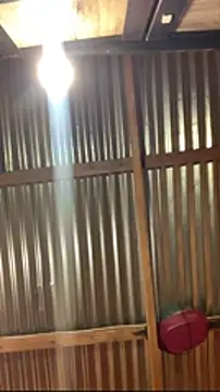 jabulani2600 online show from 6, 1, 2026