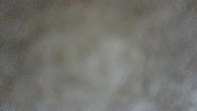 TharealBunn online show from 12, 4, 2026