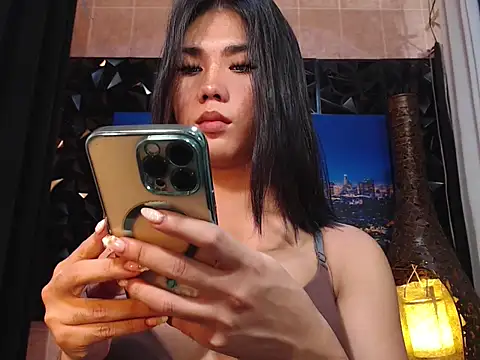 TRANSPORNIDOL online show from 8, 1, 2026