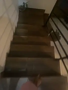 Snapshot of pretalst chatting on 19, 11, 2025 pretalst online show from 19, 11, 2025