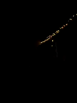 night  wolf online show from 10, 4, 2026