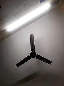 Snapshot of Devi-with-Ram chatting on 7, 10, 2025 Devi-with-Ram online show from 7, 10, 2025