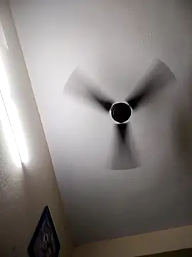 Snapshot of Devi-with-Ram chatting on 29, 11, 2025 Devi-with-Ram online show from 29, 11, 2025