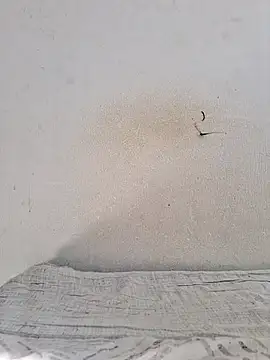 Snapshot of jujuhpimenta chatting on 12, 11, 2025 jujuhpimenta online show from 12, 11, 2025