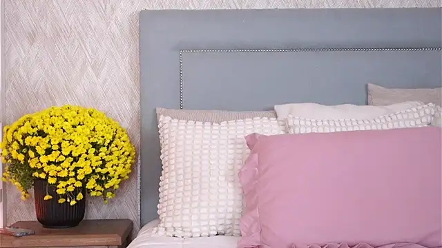 Sofy Bradd online show from 8, 11, 2025