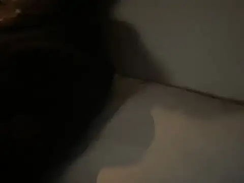 dddasani online show from 15, 12, 2025