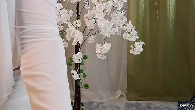 AccaCroyle online show from 2, 11, 2025