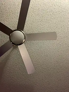 Triggerhappycj100 online show from 24, 2, 2026