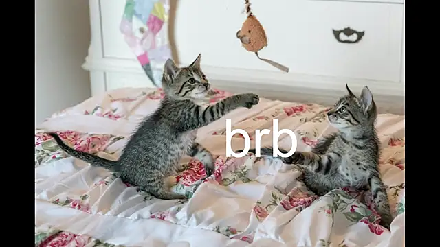 Pink girl0n online show from 25, 9, 2025