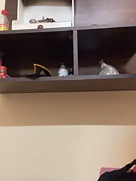 Snapshot of modelnishu chatting on 9, 4, 2026 modelnishu online show from 9, 4, 2026