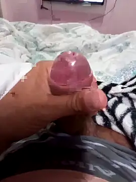 fepintudo online show from 29, 5, 2026