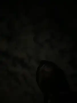 Snapshot of theone3121 chatting on 15, 10, 2025 theone3121 online show from 15, 10, 2025