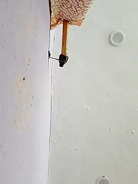 Snapshot of funcreat chatting on 11, 9, 2025 funcreat online show from 11, 9, 2025