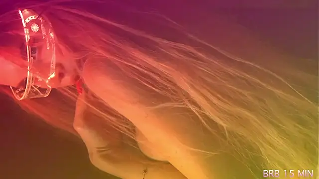 Alvuwkaa online show from 7, 4, 2026