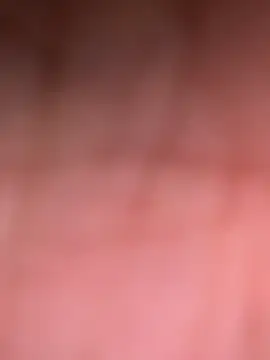 ninjabod online show from 30, 10, 2025