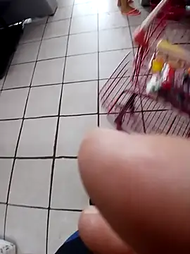 Snapshot of cicinha3657 chatting on 20, 2, 2026 cicinha3657 online show from 20, 2, 2026