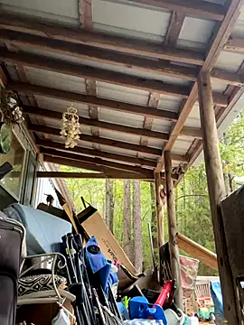 bb empress online show from 7, 10, 2025