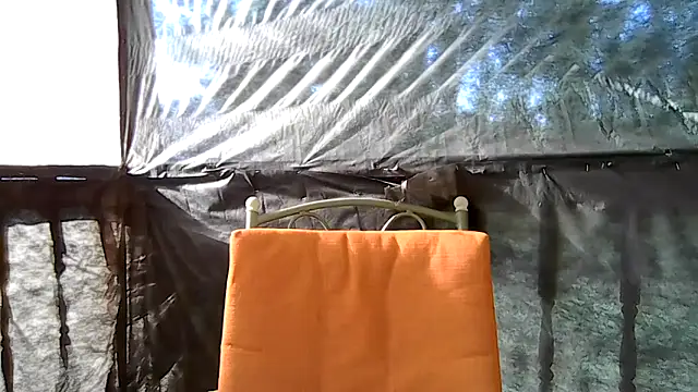 bb empress online show from 8, 4, 2026