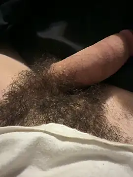 Snapshot of user666688 chatting on 18, 2, 2026 user666688 online show from 18, 2, 2026