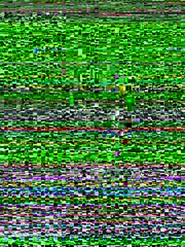 Emaline Fane online show from 19, 12, 2025