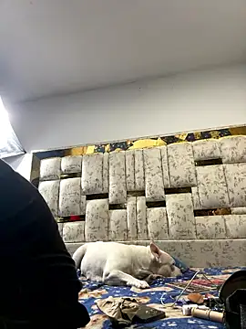 DayanaDG online show from 9, 1, 2026