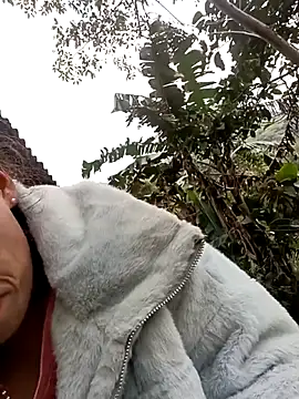 optra34 online show from 15, 12, 2025