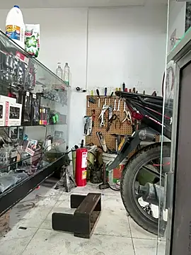 Terra-22cm online show from 25, 2, 2026