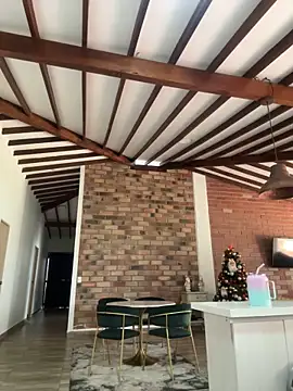 Tokio Tokio online show from 13, 12, 2024