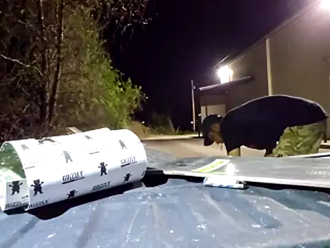 sloppytopkins online show from 11, 4, 2026