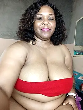 Moretl online show from 11, 11, 2025