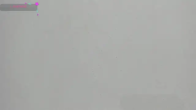 FluffyMelons online show from 17, 1, 2026