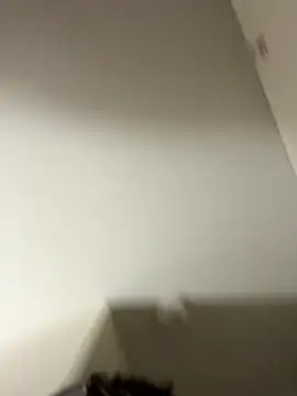 Tu GataLinda online show from 25, 9, 2025