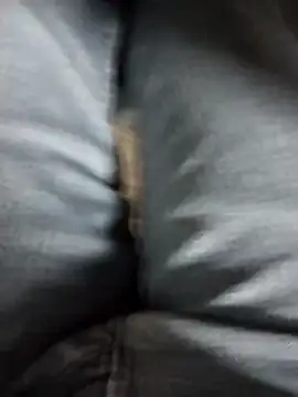 Ajayy01 online show from 3, 3, 2026