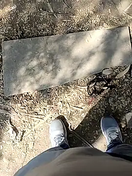 indian pavi online show from 19, 1, 2026