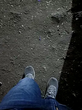 indian pavi online show from 9, 2, 2026