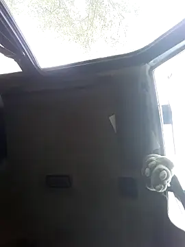 N i k o l a u online show from 29, 9, 2025