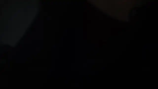 vidoflores online show from 28, 11, 2025